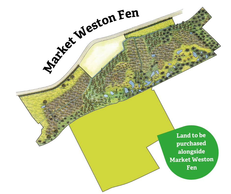 Market Weston Fen Map Suffolk Wildlife Trust